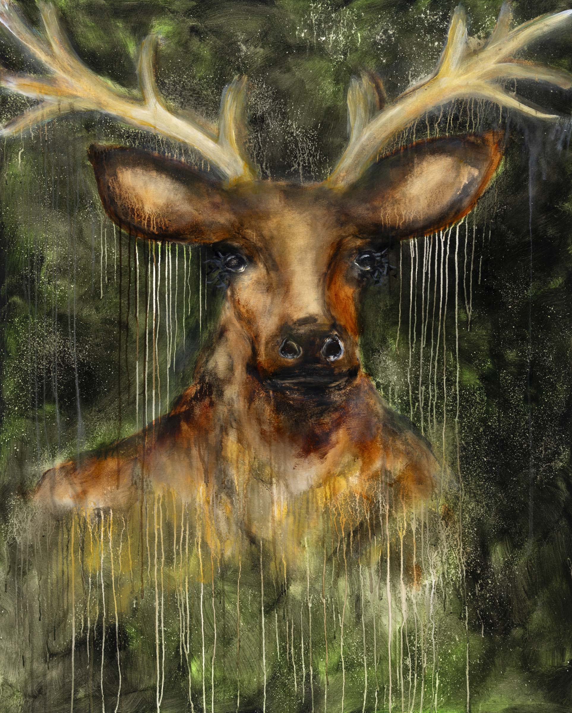Crown of the Forest