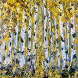 Harmony Forest