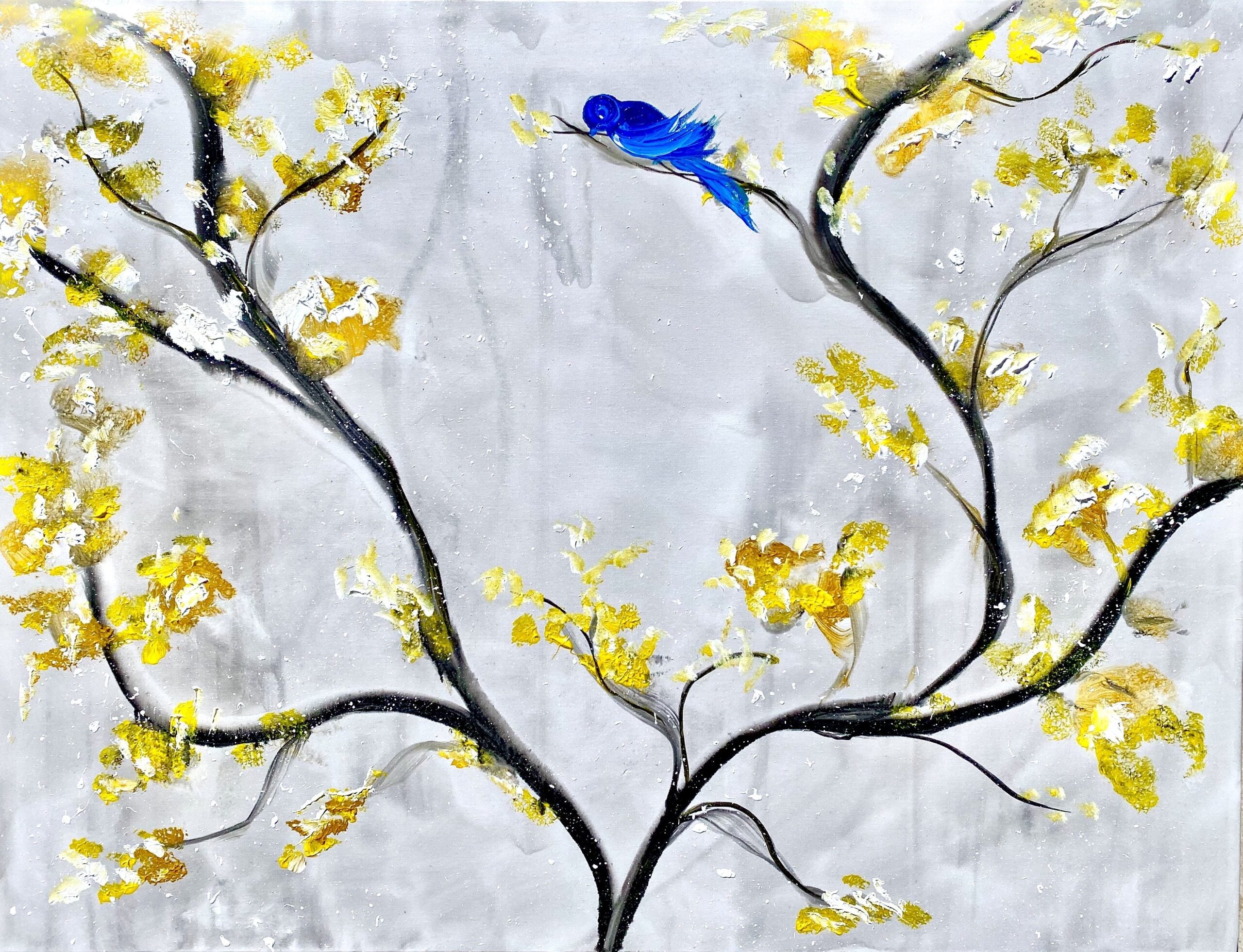 Little Bluebird image 3