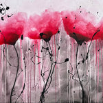 Poppies in the Dark image 0
