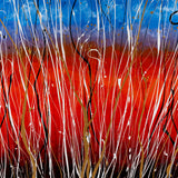 Australia | Canvas Print