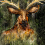 Crown of the Forest