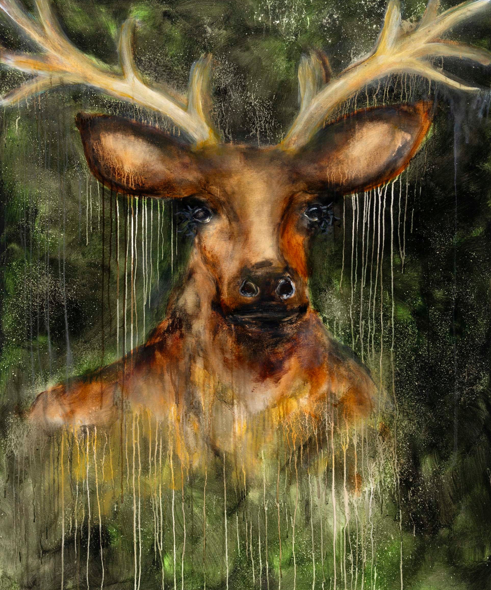 Crown of the Forest