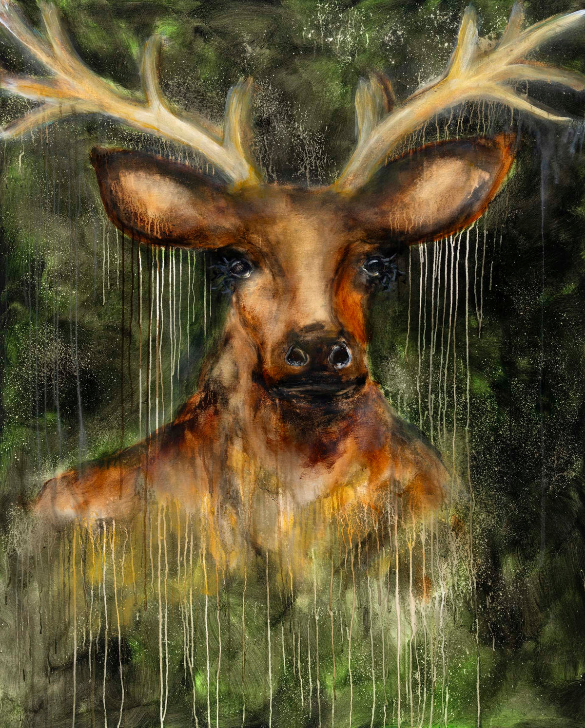 Crown of the Forest