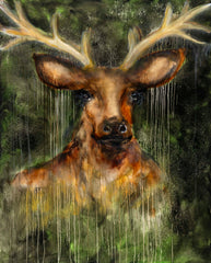 Crown of the Forest