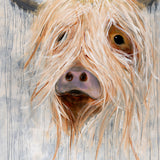 Missy Moo