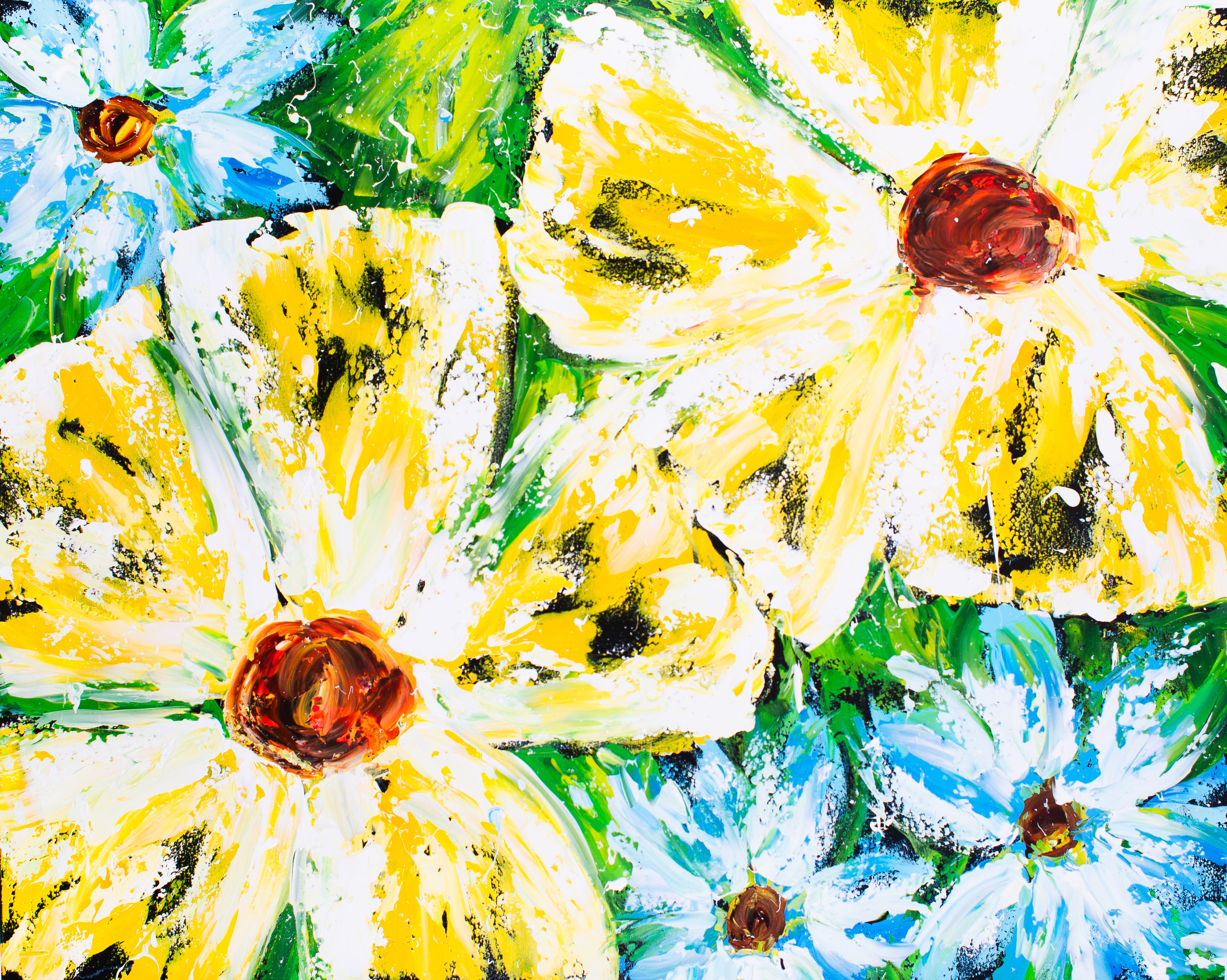 Wild Daisies Dance
