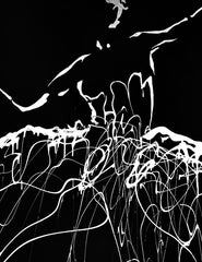 Evening at the Ballet image 1
