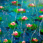 Moonlight Lilies image 1